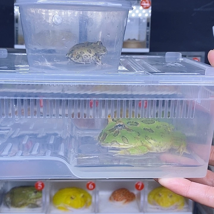 特价秒杀现货特价