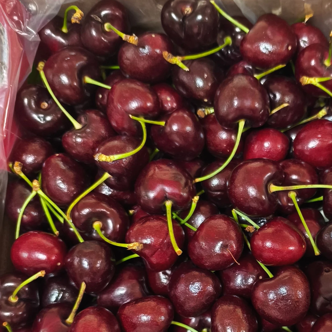 吉制KORDIA 2J车厘子5斤