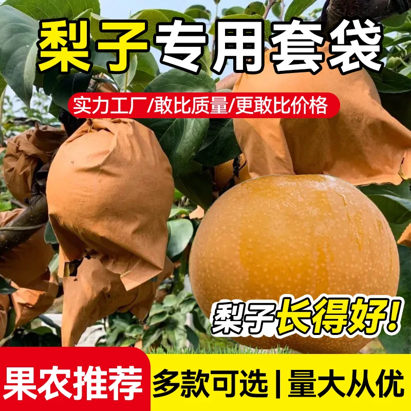 梨子专用套袋防鸟虫防水防晒秋月梨晚秋黄梨专用袋厂家批发梨套袋