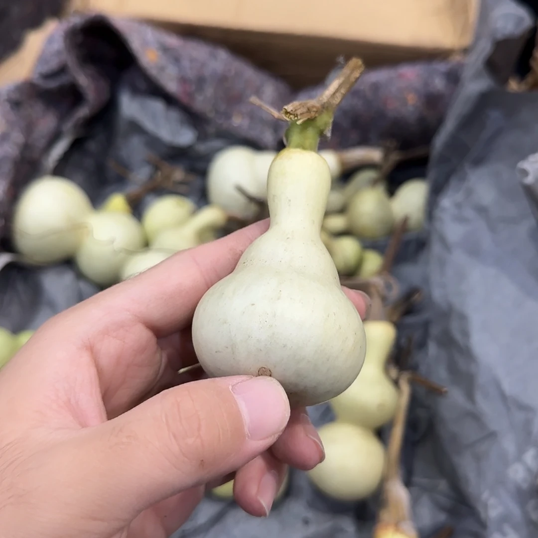 熊***二葫芦mdndnddndnsnsndn