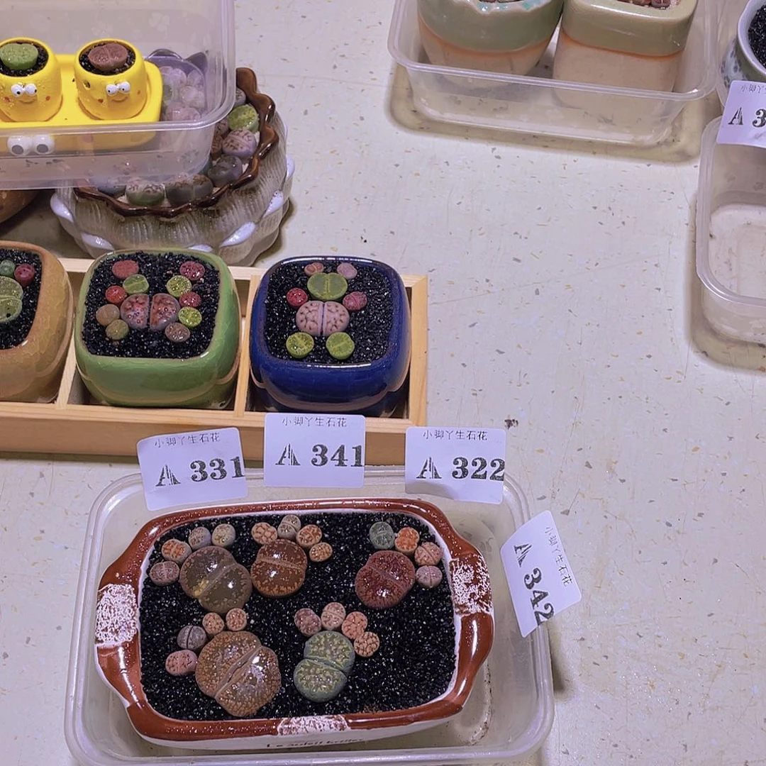 342……开播后的第一个节目是