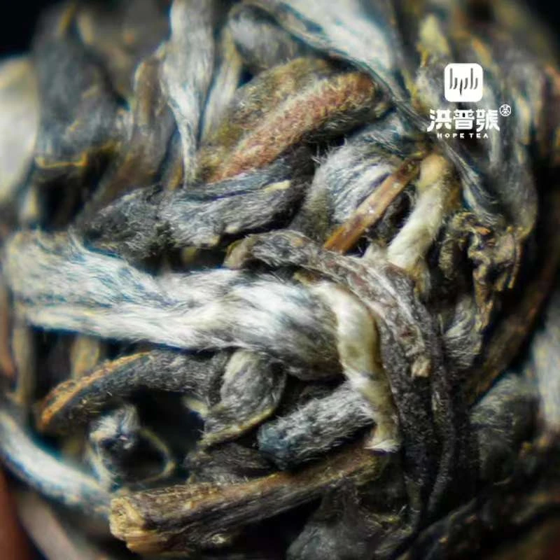 2023年头春古树【坝糯单株】