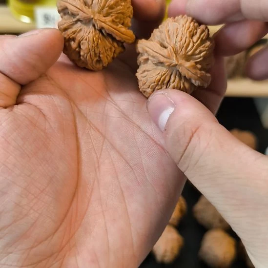 吊坠文玩核桃38白狮子