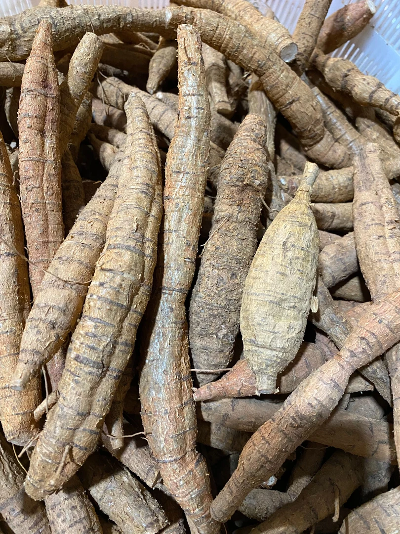 （30年）高山农家特产新鲜小叶甘草圆牛农家土特产