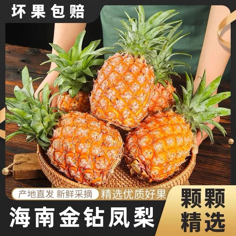 【次日达】海南小凤梨手撕凤梨新鲜水果（单个约1.2-1.8斤）金钻凤梨海南省