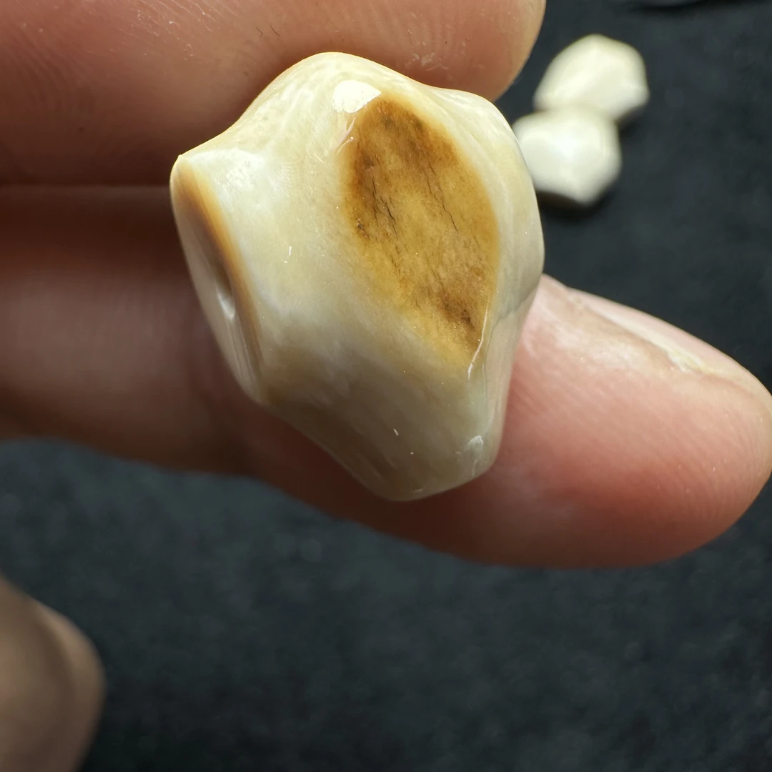 F280猛犸象牙对孔12mm冰料果冻鲨鱼背三通