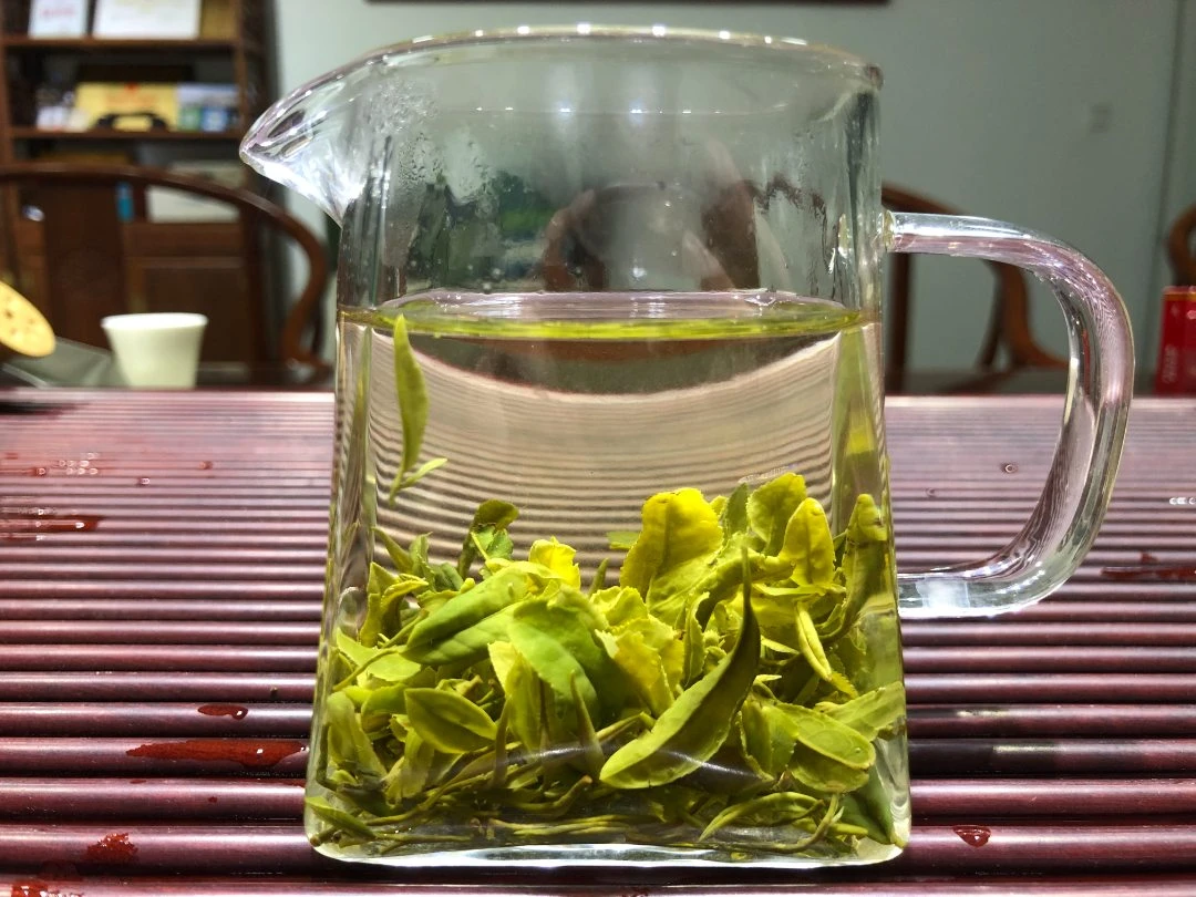 【日照绿茶谷雨春茶】2025日照绿茶/露天春茶/鲜爽/手工采/性价比