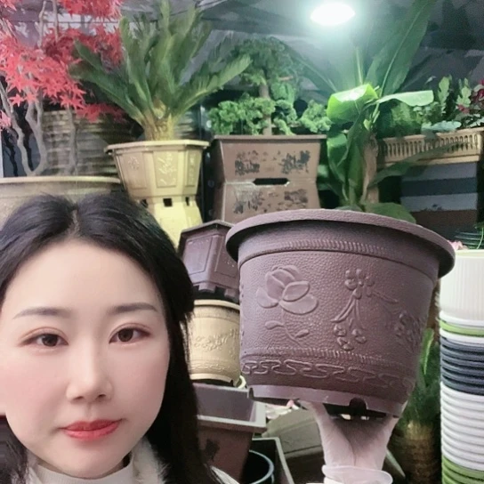 复合梅花30盆10个有孔