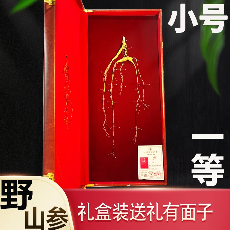 （小号）通化检一等野山参东北长白山人参礼盒装林下参送礼野生人参