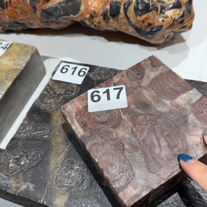 11111111了**森1111111111