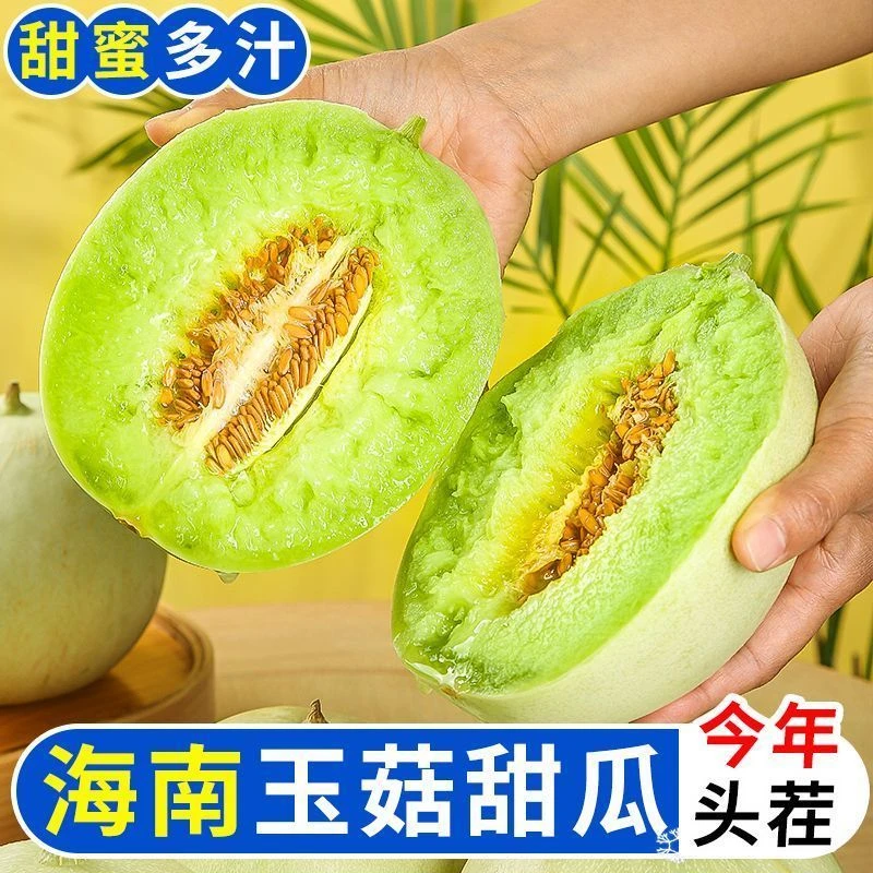 海南头茬甜瓜新鲜采摘软糯香甜多汁水果脆甜玉菇甜瓜玉菇瓜