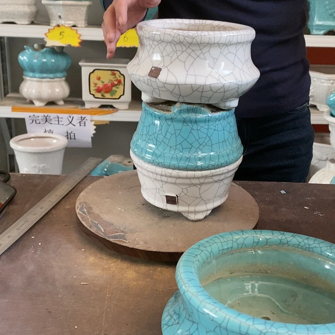 花盆里长的蘑菇也不知道