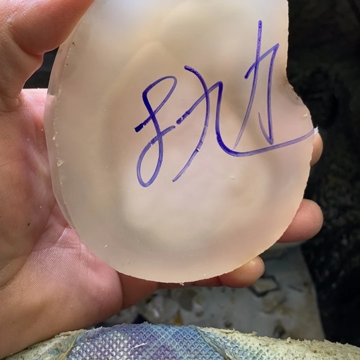 叶***昭定制玛瑙饰品不退不换