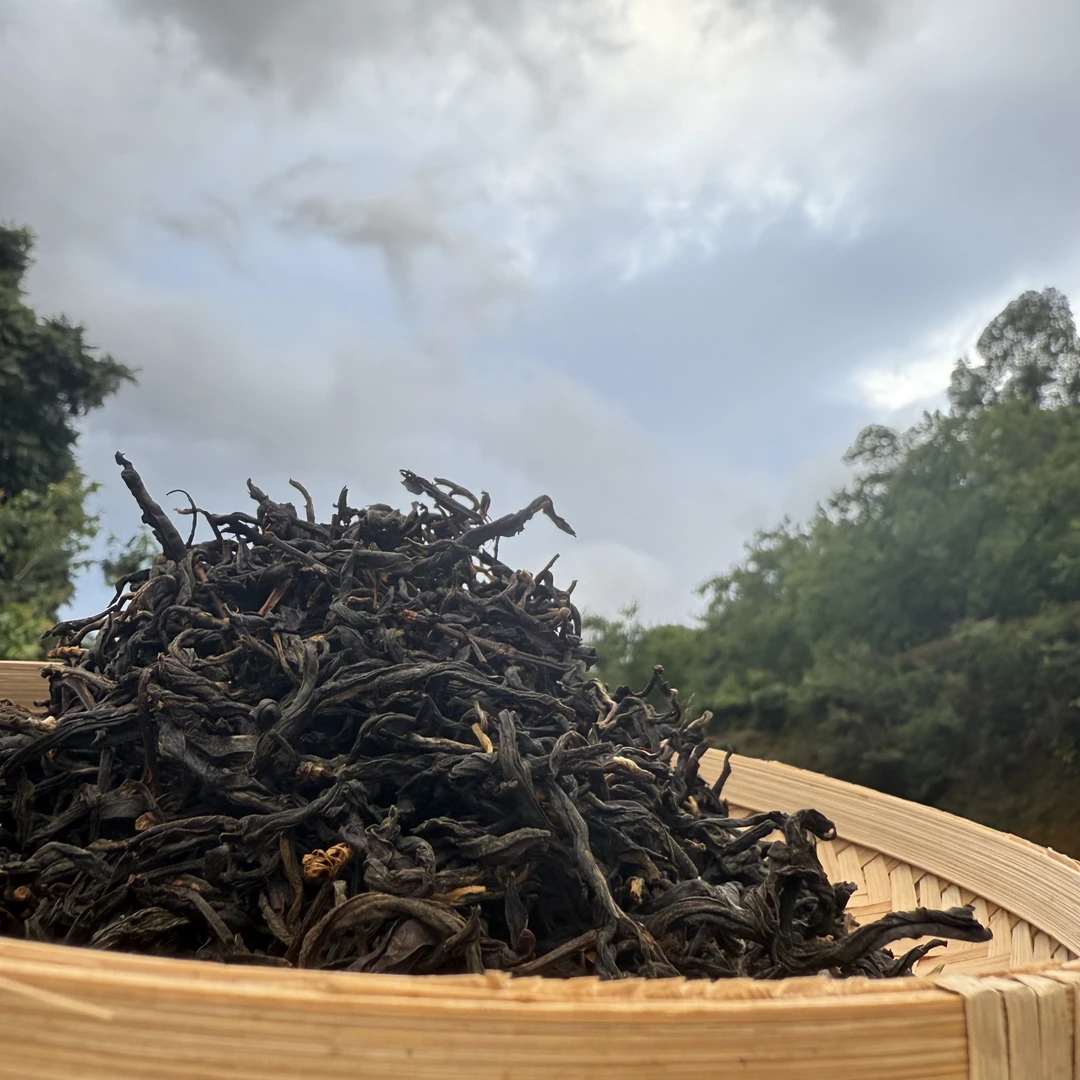 3号潘朝兰+平乡村+24年秋茶散茶