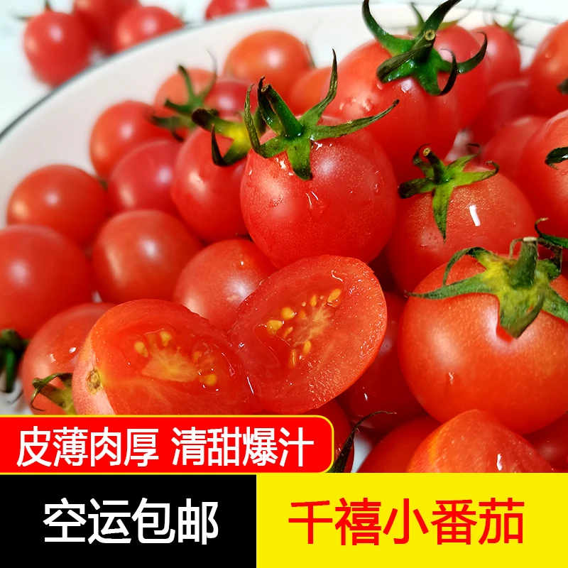 正宗新鲜牛奶柿子小番茄当季现摘多汁孕妇水果2/3/5斤空运包邮