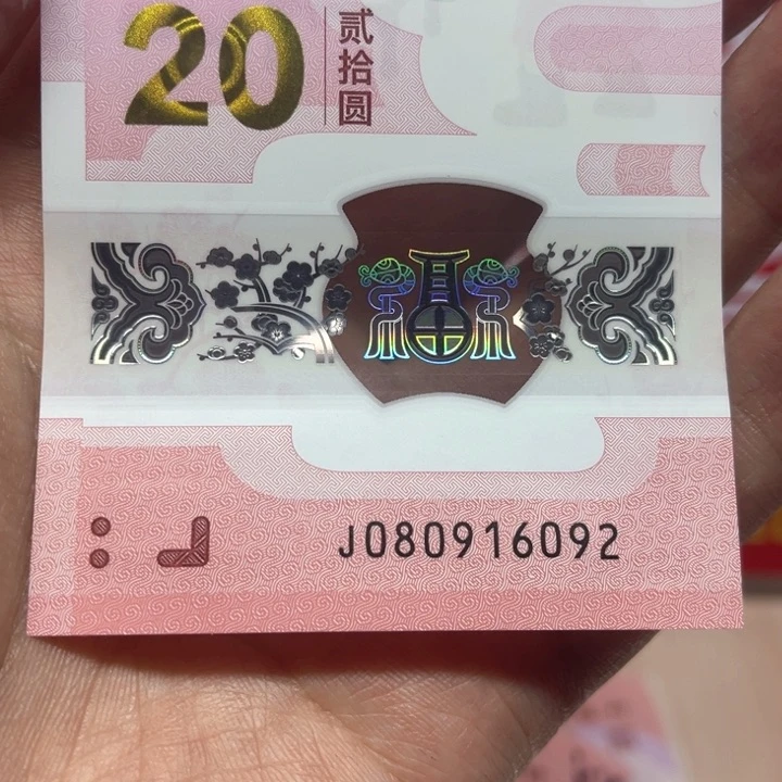 塑料蛇钞朦胧号裸钞单张080916092