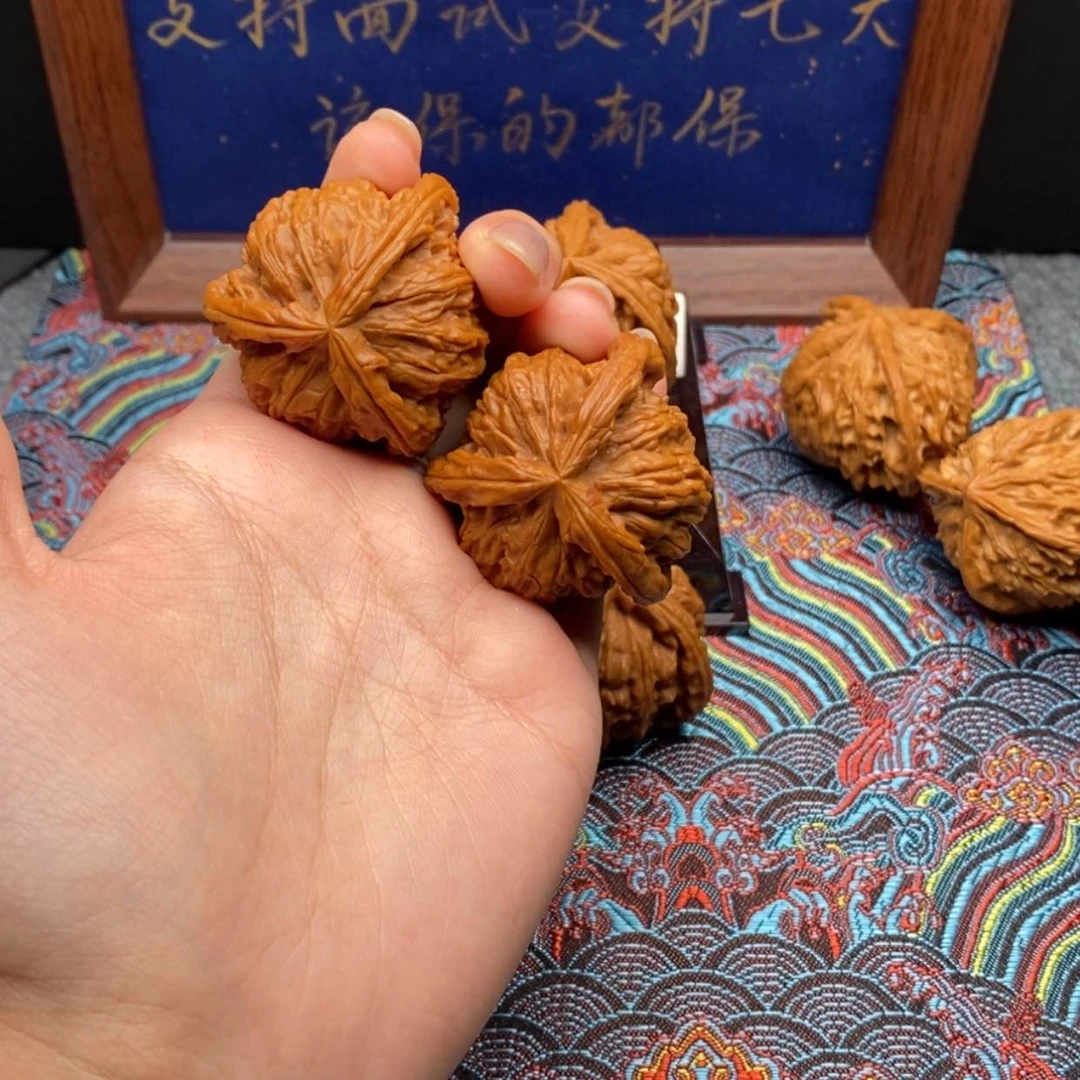 【闪购商品】亲*白狮
