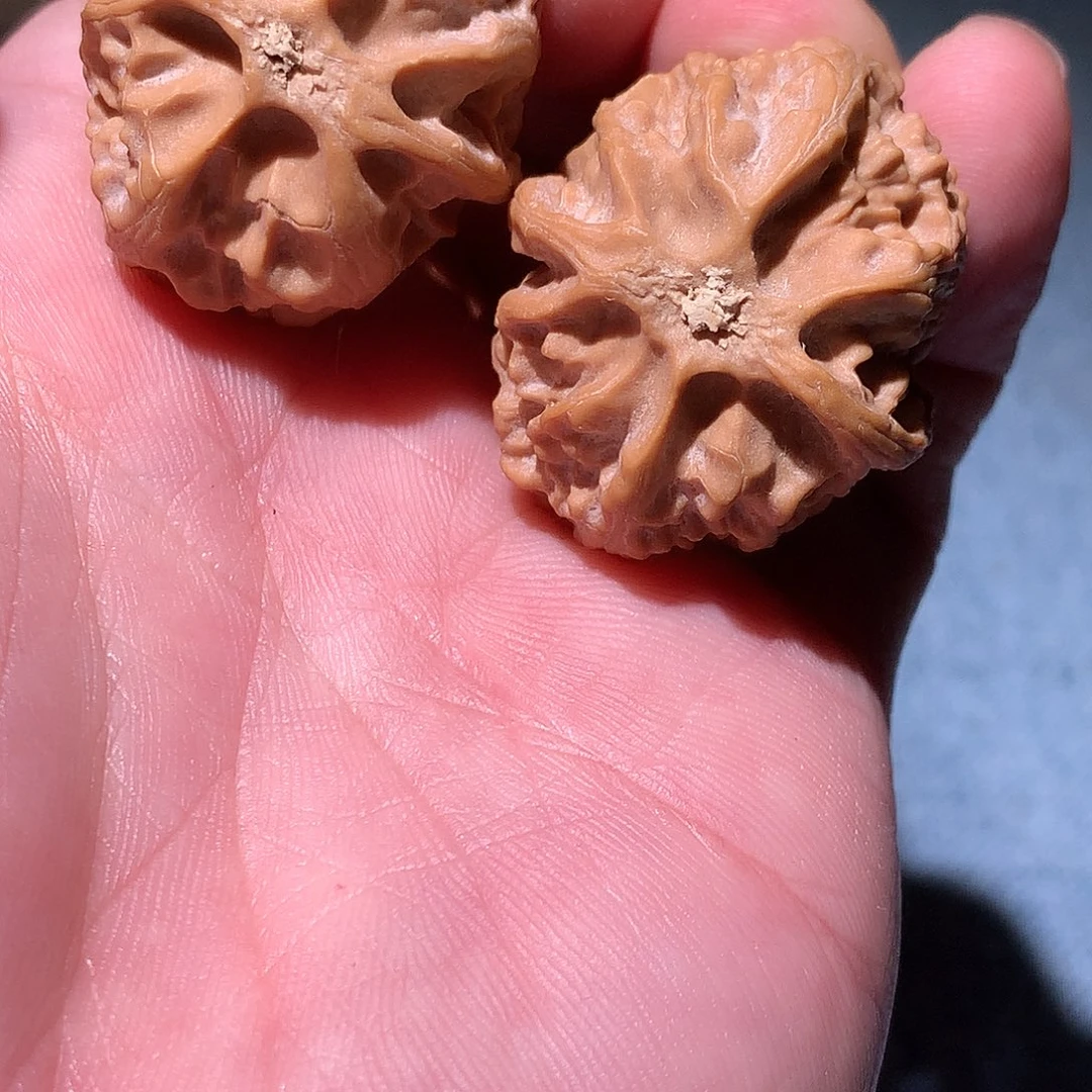 吊坠文玩核桃苹果园