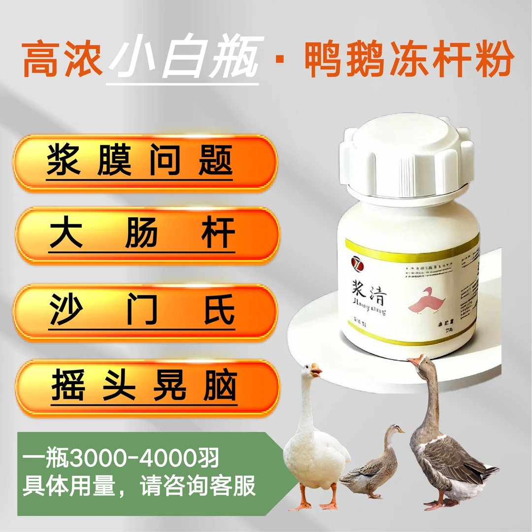 鸡鸭鹅正品浆清-浆膜-大肠杆-翻个蹬腿-扭颈歪脖-腿软腿瘸-发蔫