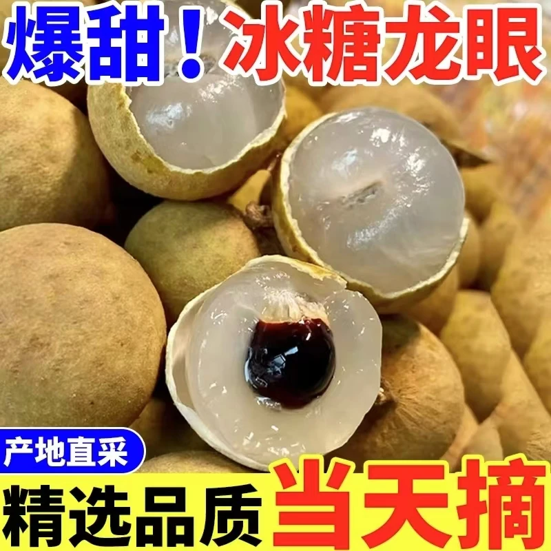 精选古山龙眼，直播间当场打包贴单