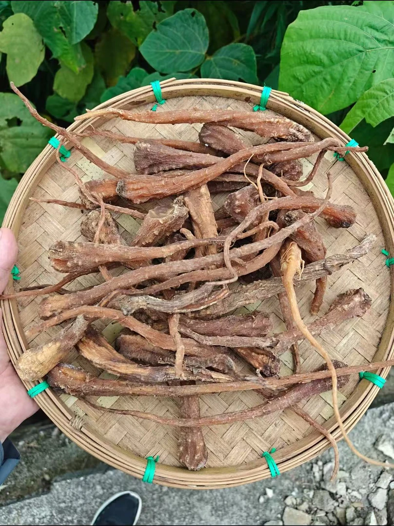 邱正新农人-藏雪参