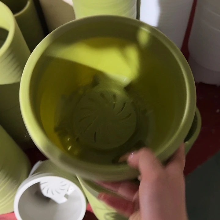 球根2号果绿无托5个