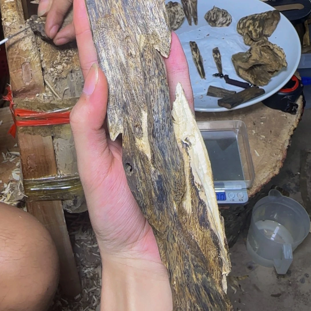 沉香虫漏摆件发一份