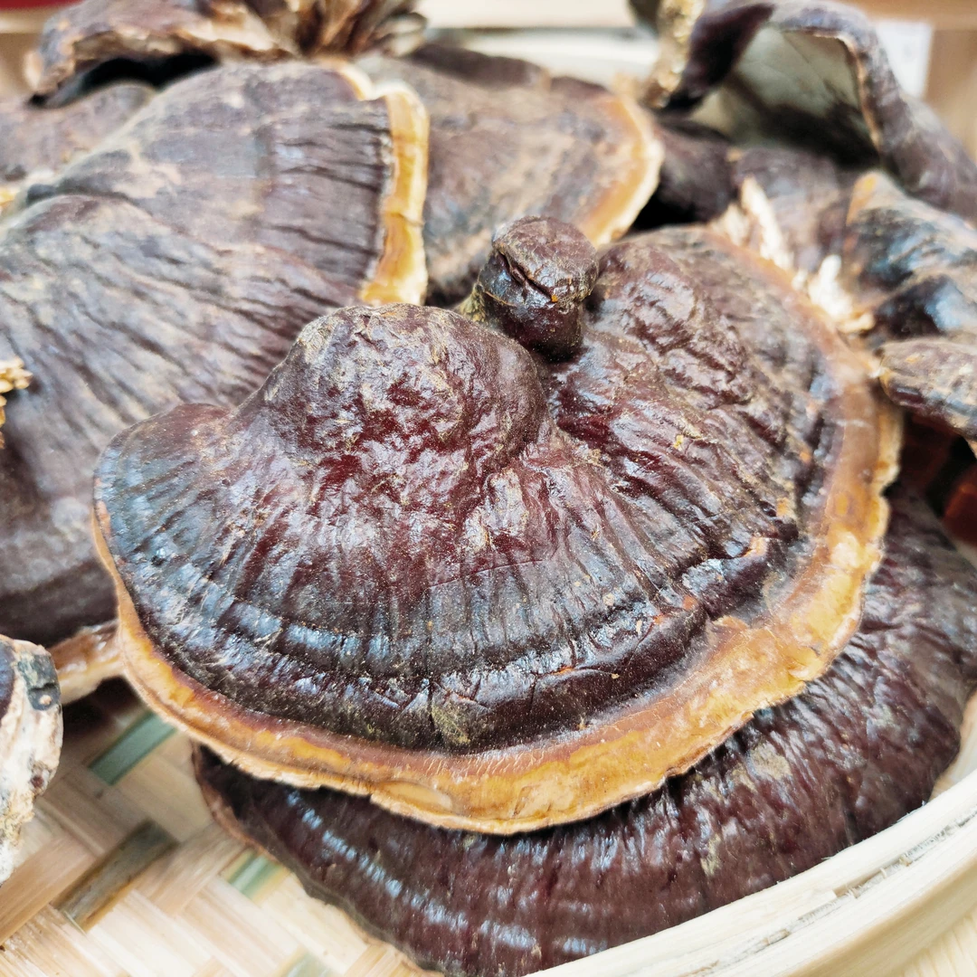 【雯姐批发】正宗金边芝芝菌菇250g 菌味浓郁煲汤煲水