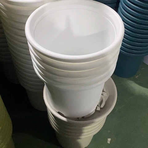 树脂四季6号5个无托白