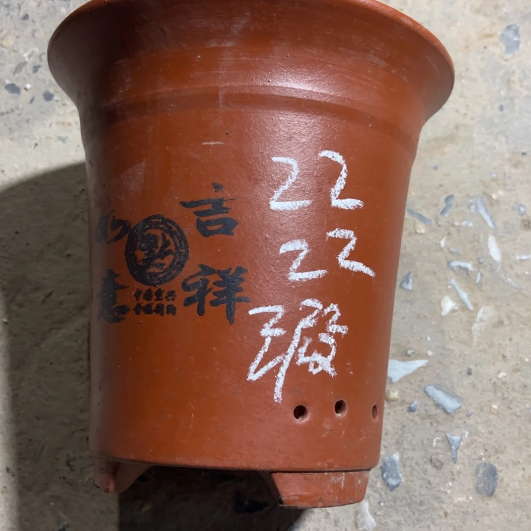 紫砂工艺厂……紫砂工艺厂……