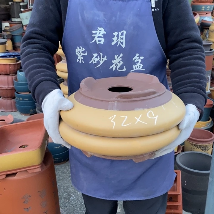 紫砂花盆紫砂花盆盆栽花卉苗木种植