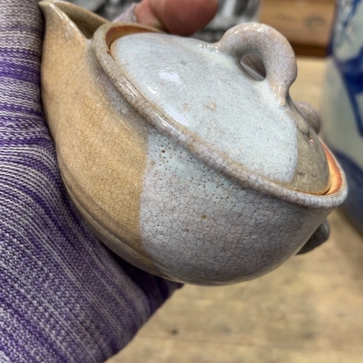 碟出**只哈哈哈哈哈哈哈哈