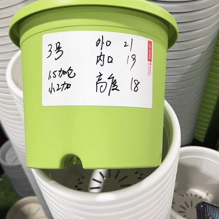 特价3号四季口21高18白色无托10只