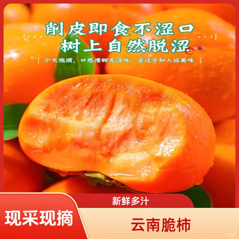 【现采现发】巧克力脆柿新鲜绿色脆甜孕妇应季水果包邮云南本地头茬