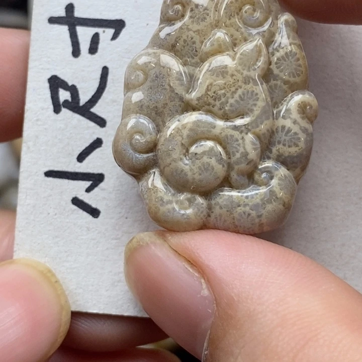 硅化珊瑚（珊瑚玉）未镶嵌颈饰