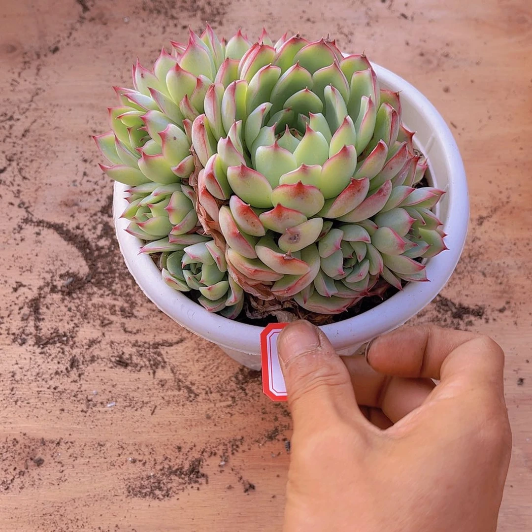 一***?000000000000000606