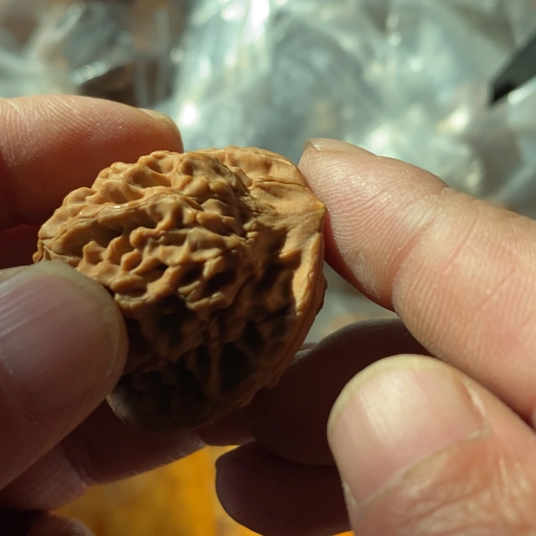 秦岭南侧和东北北部分别