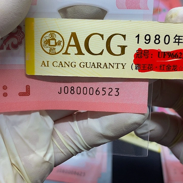 一张尾号080006523一张