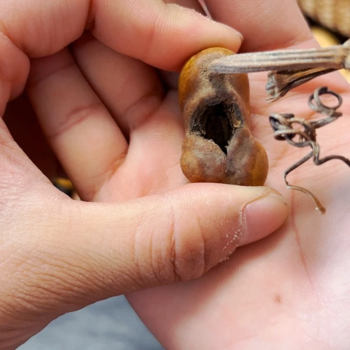 溜*福漏洞888888888888888