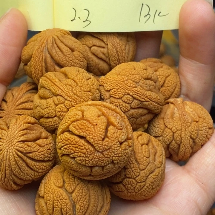 吊坠桃核秦岭龙纹桃核23尺寸