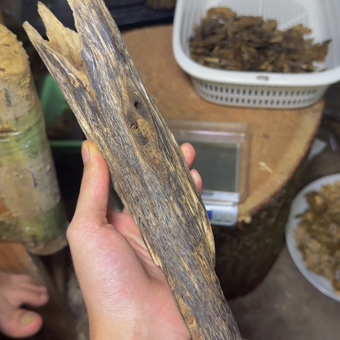 沉香虫漏摆件发一份