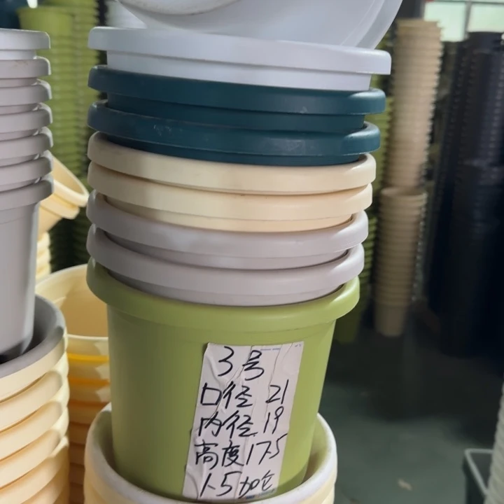 四季3#口径21无托果绿10个