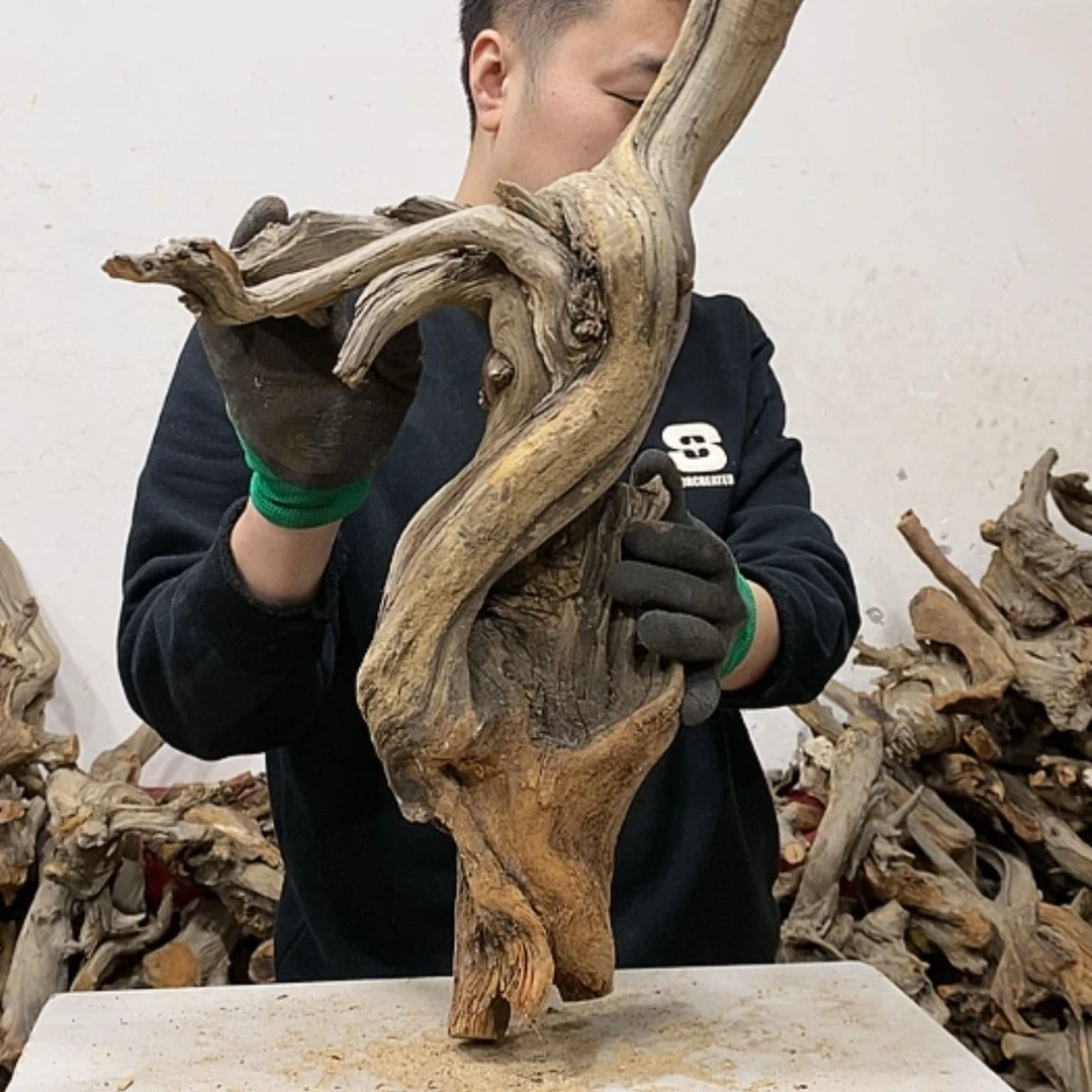 【闪购商品】柏木阿****装我们都是好孩子