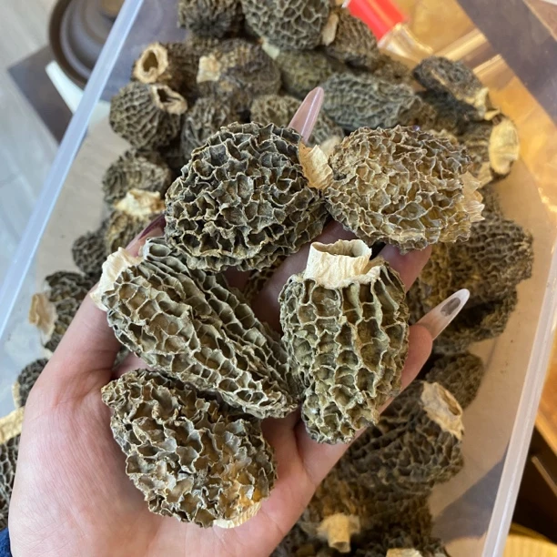 欧晟亚 特产精选羊肚菌 250克