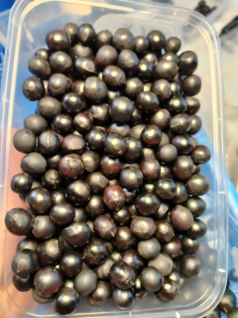 原生态无患子同树同籽归整籽天然尺寸