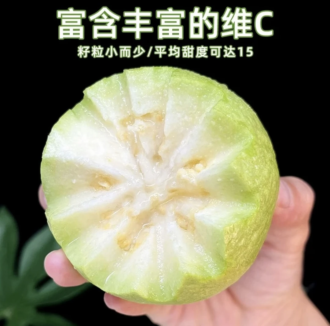 新鲜应季白心芭乐脆甜多汁富含维C的水果