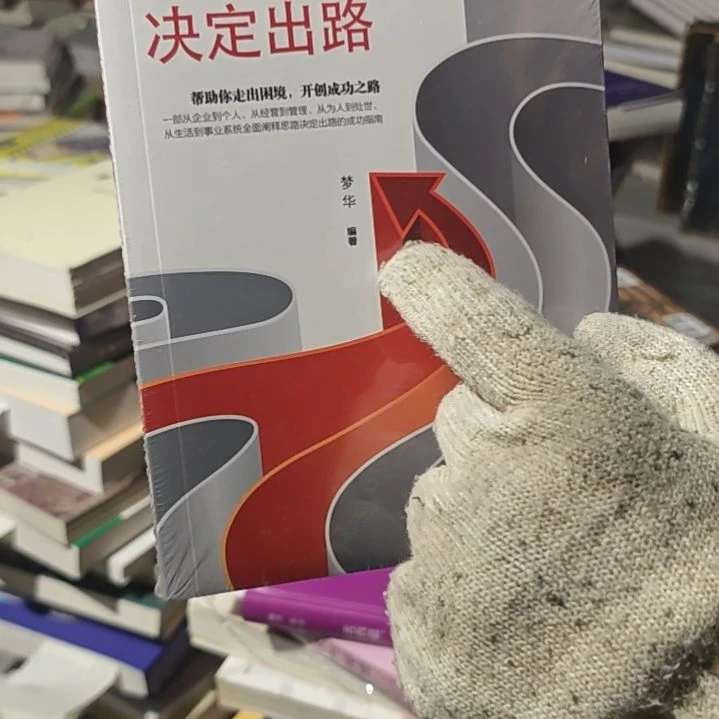 思路决定出路平装库存书
