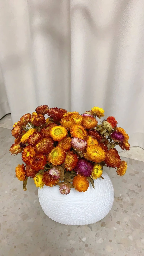油画风七彩菊干花太阳花摆件干花花束