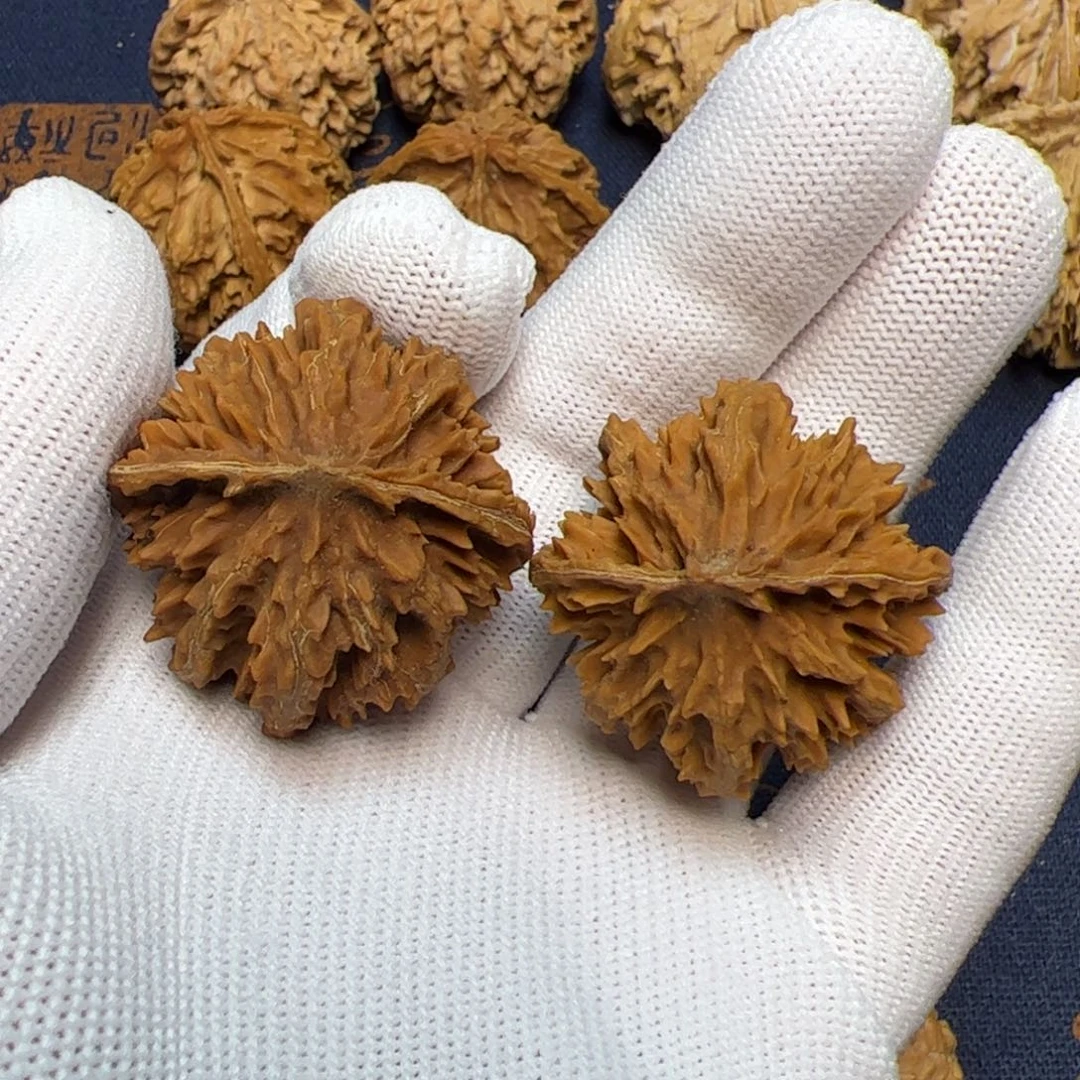 文玩核桃把件秦岭野生植物核桃