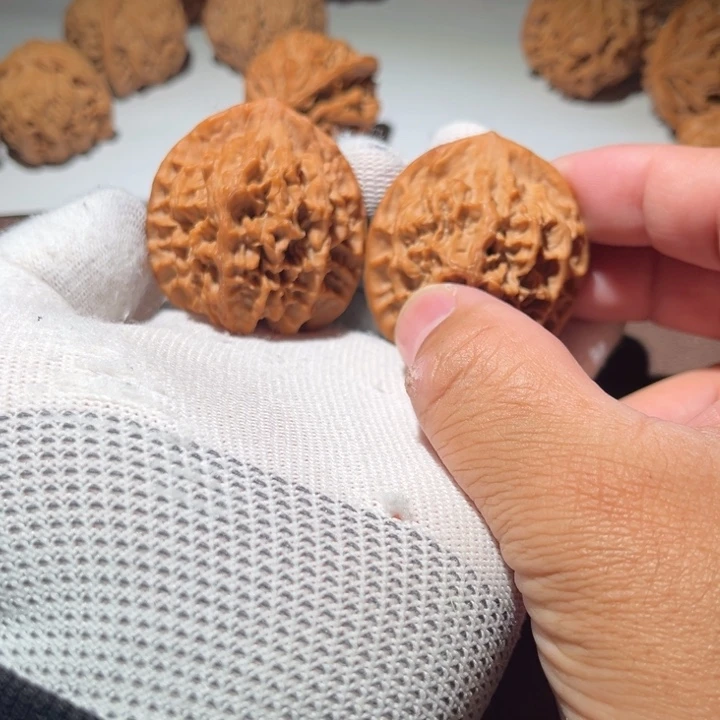 ****一精品小秦闷44尺寸